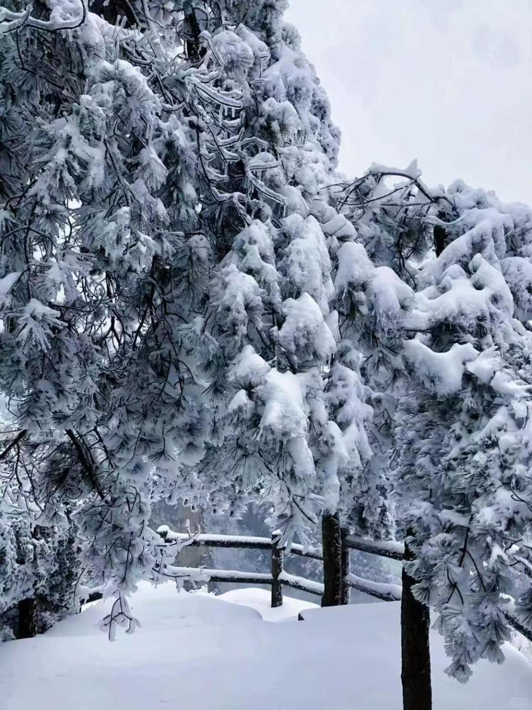 Zhangjiajie Tingyutang Little Yard Esterno foto